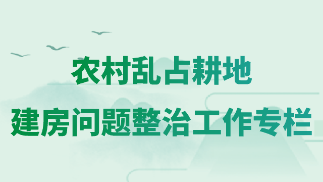 农村乱占耕地建房问题整治专栏